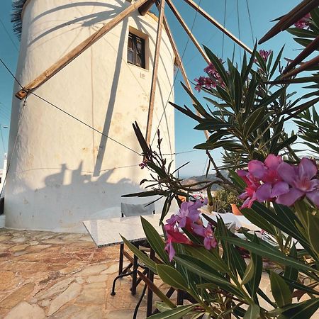 The Windmill Serifos Bagian luar foto