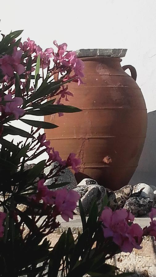 The Windmill Serifos Bagian luar foto